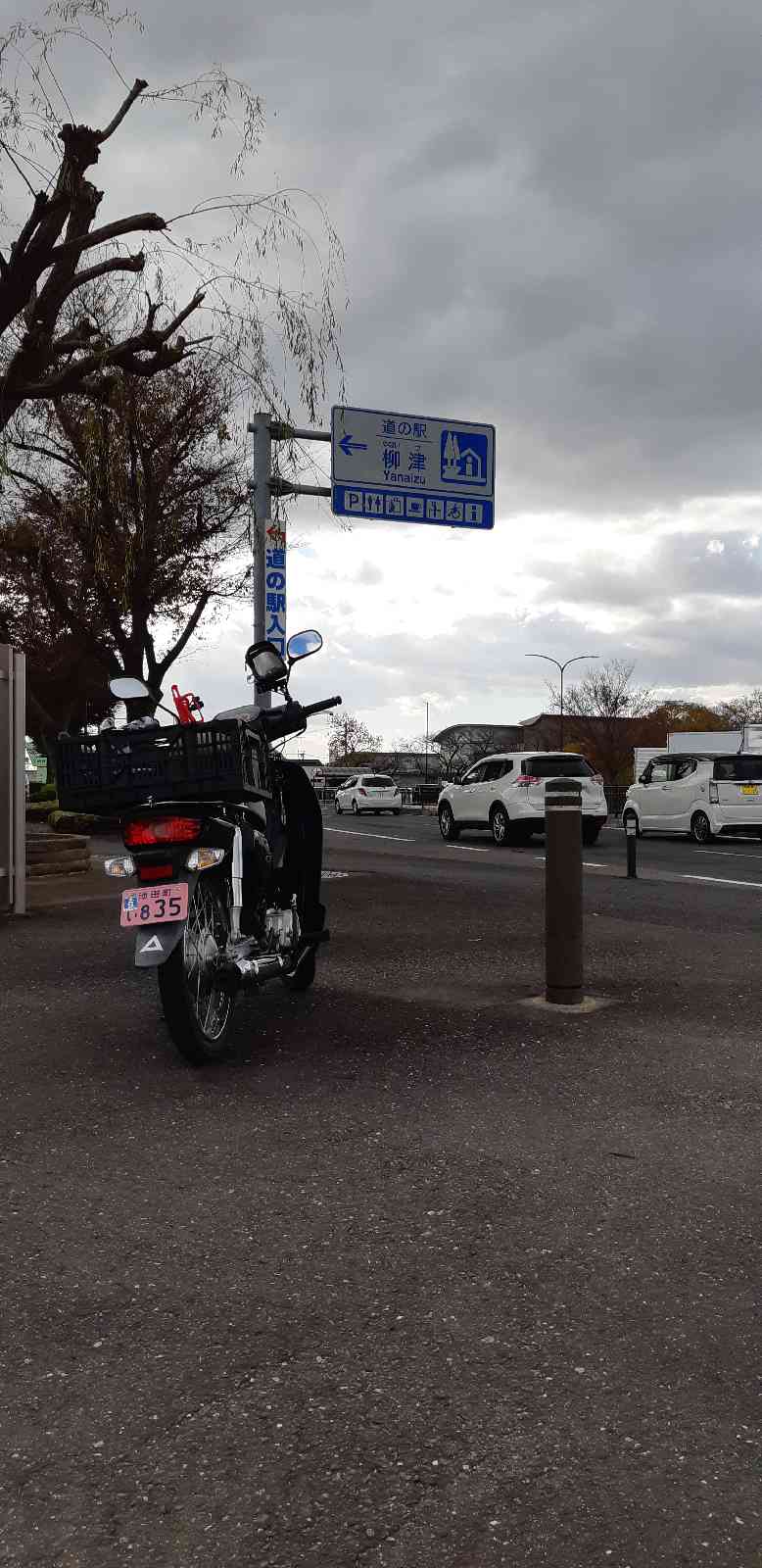 投稿された画像