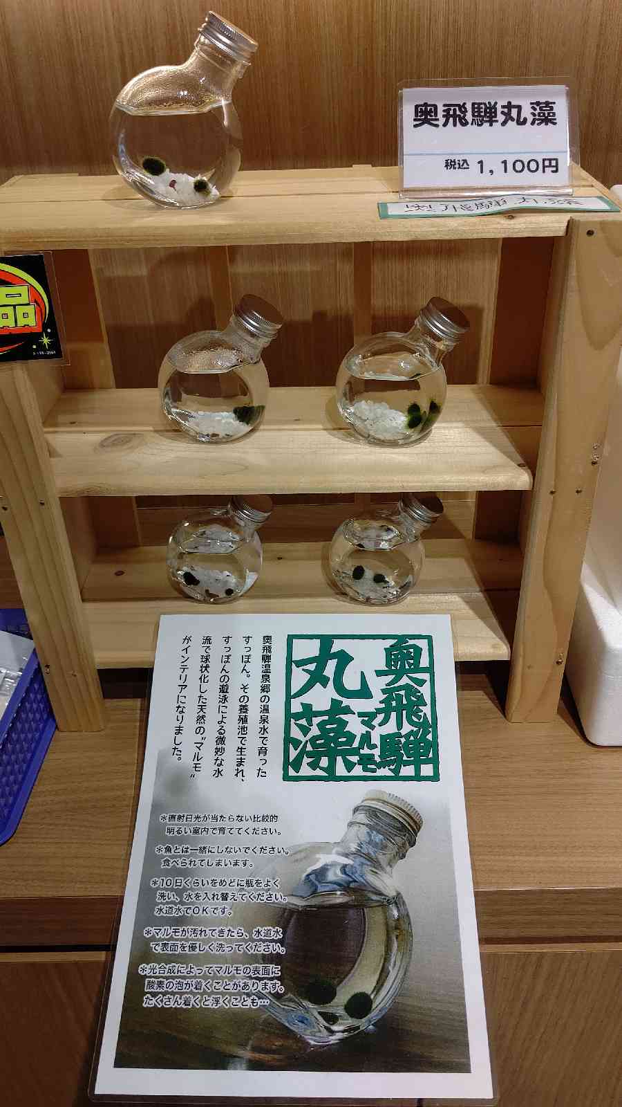 投稿された画像