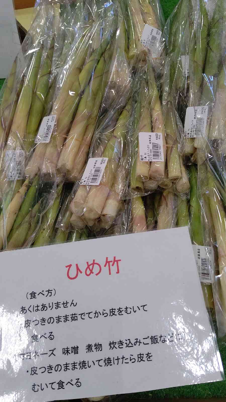 投稿された画像