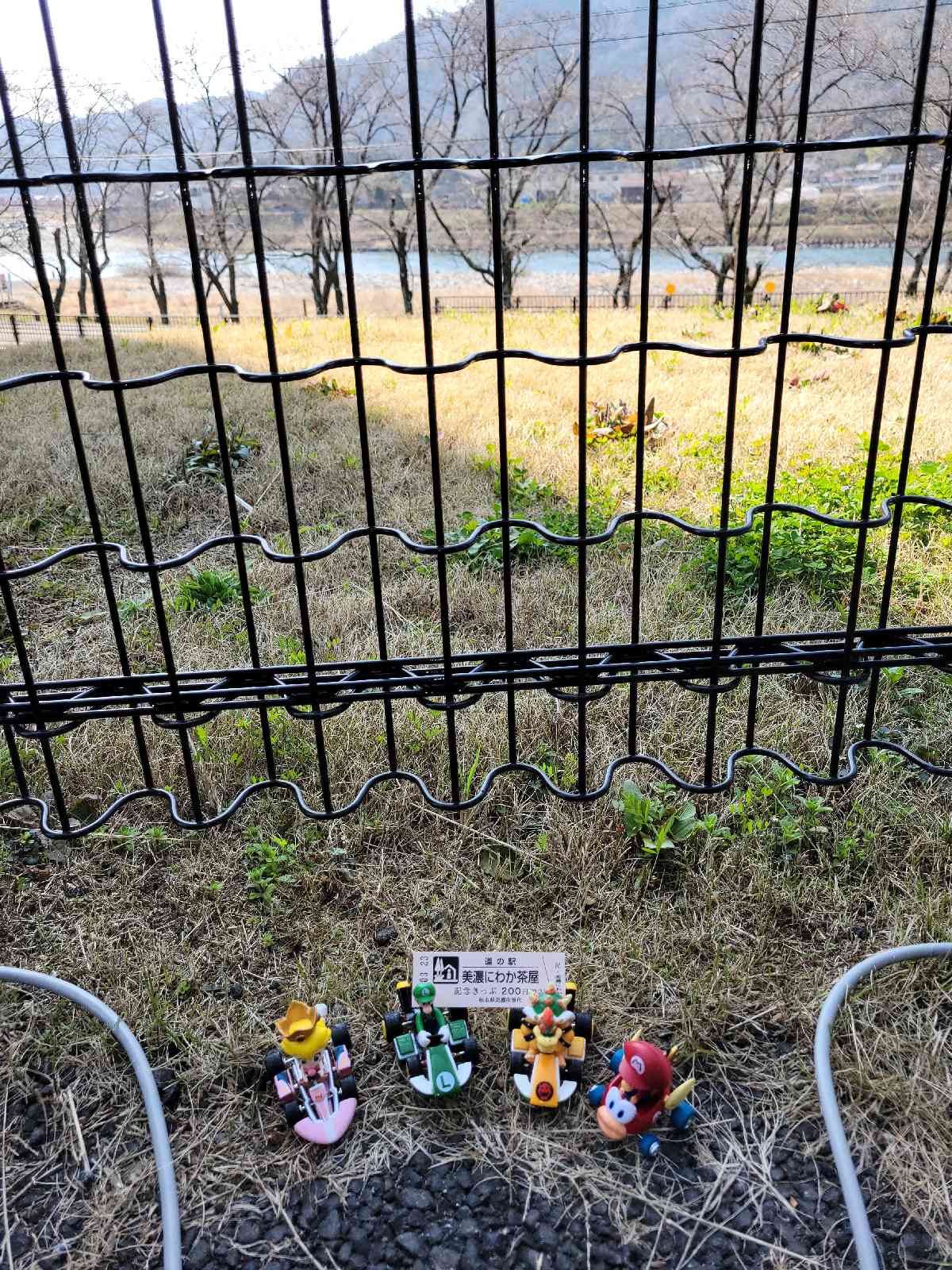 道の駅 美濃にわか茶屋の写真