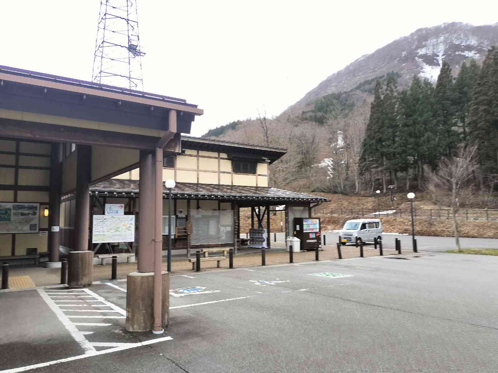 投稿された画像