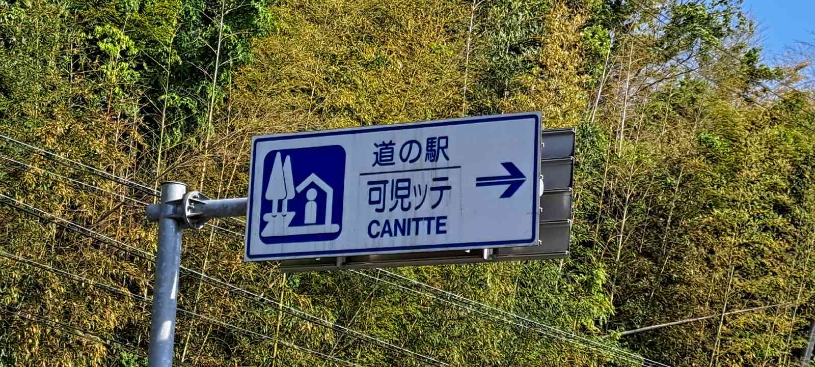 投稿された画像
