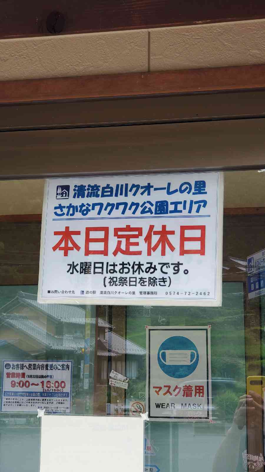 投稿された画像
