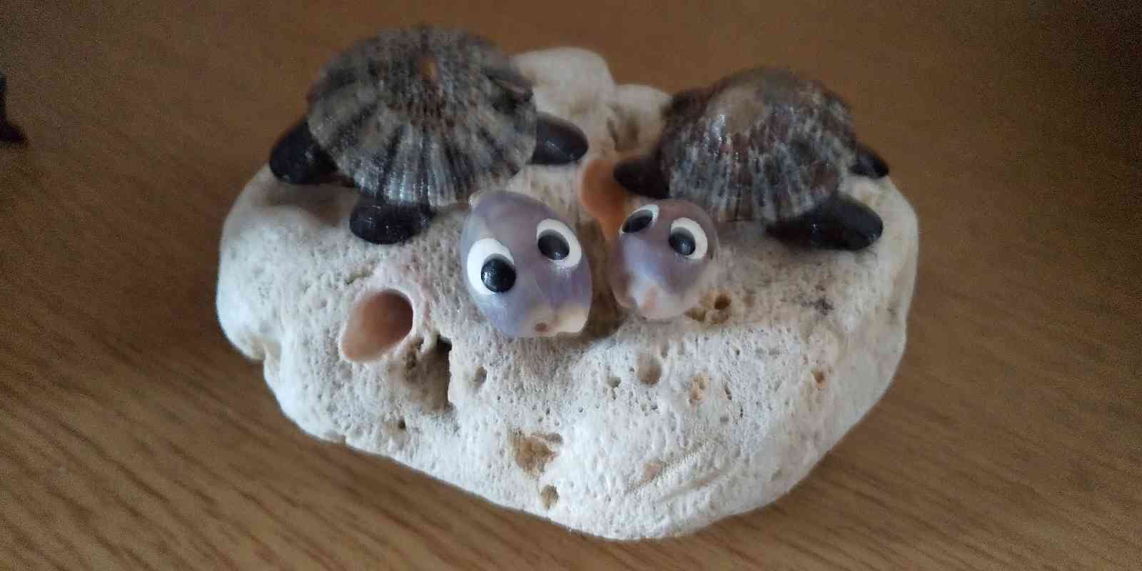 投稿された画像