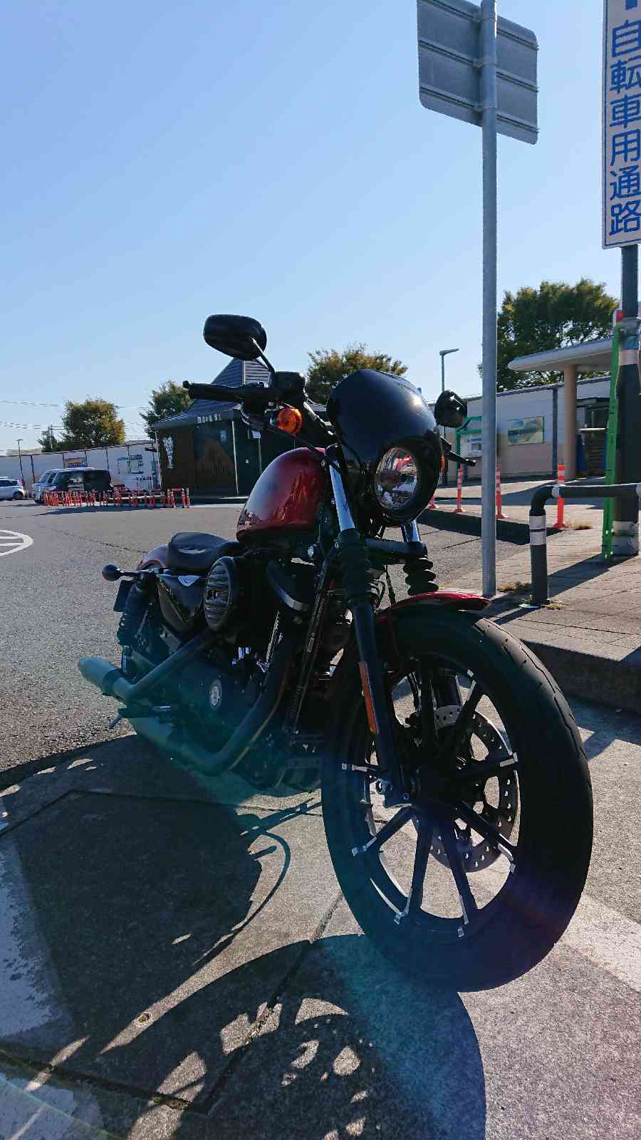 投稿された画像