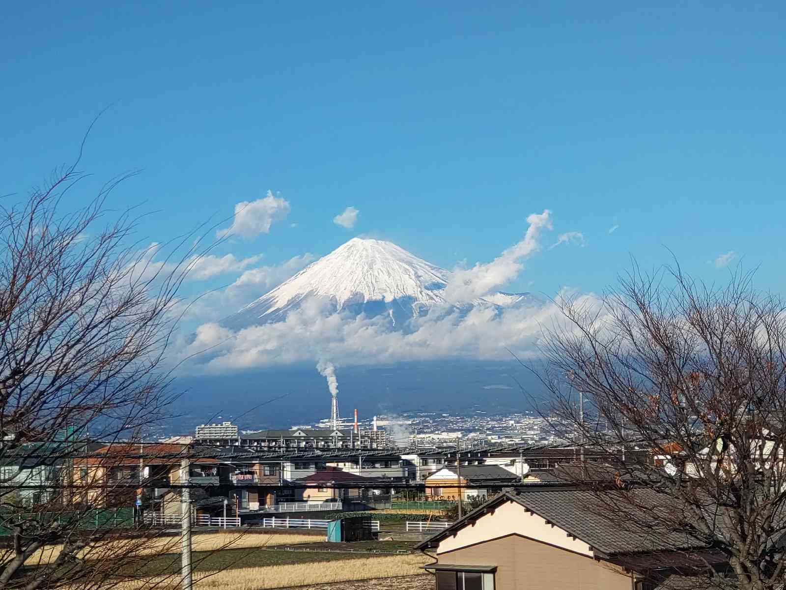 投稿された画像