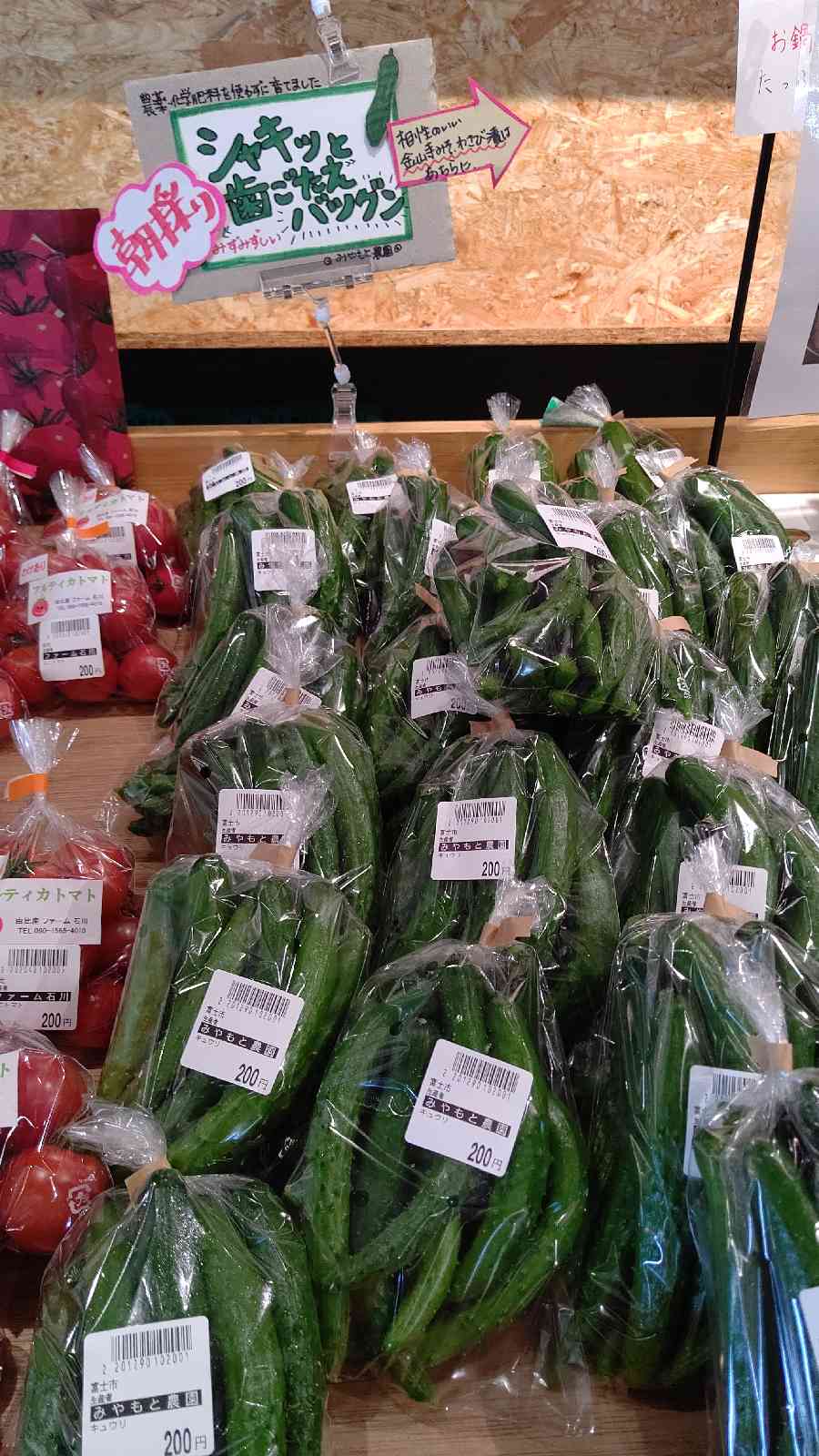 投稿された画像