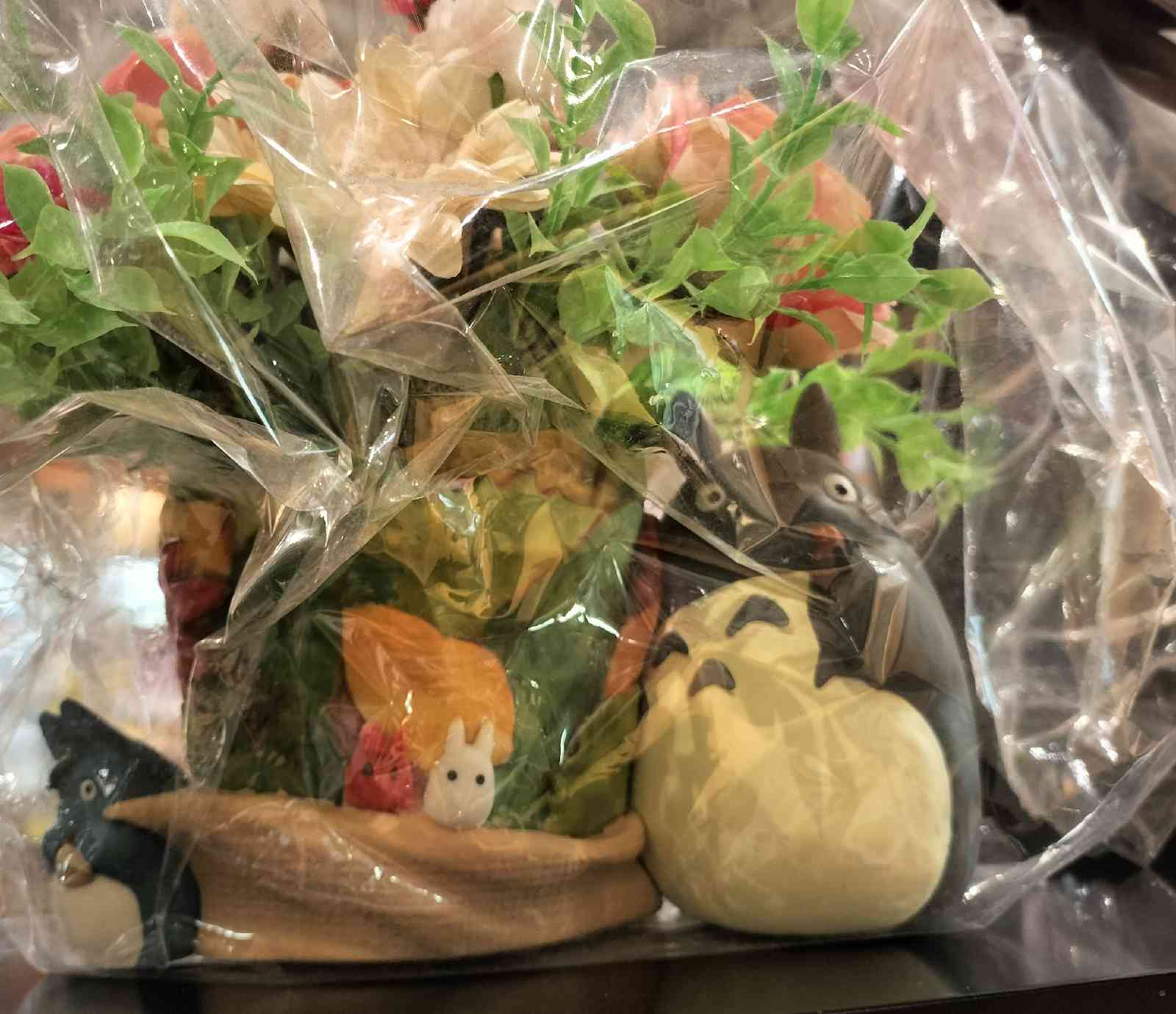 投稿された画像