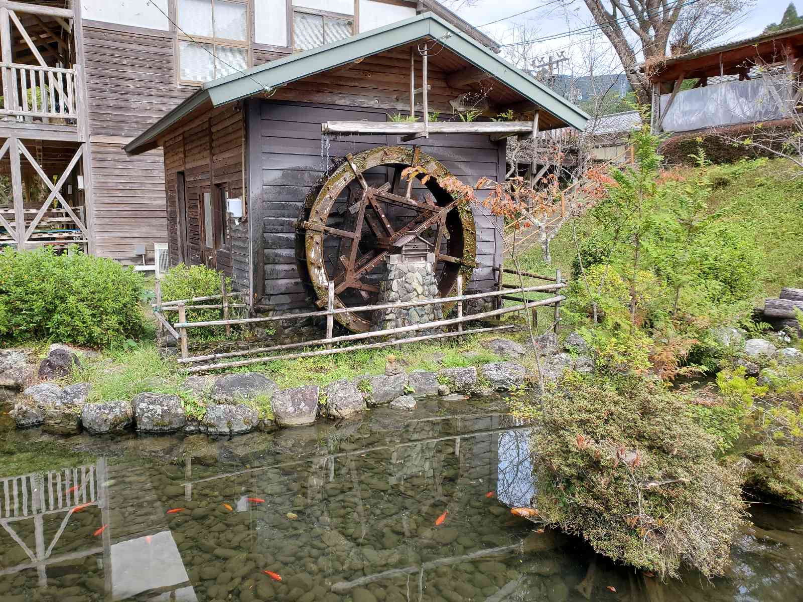 投稿された画像