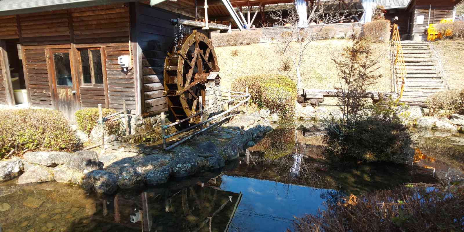 投稿された画像
