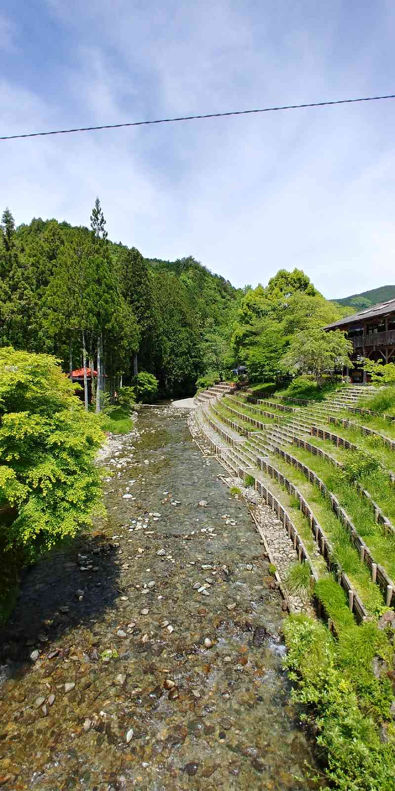 投稿された画像