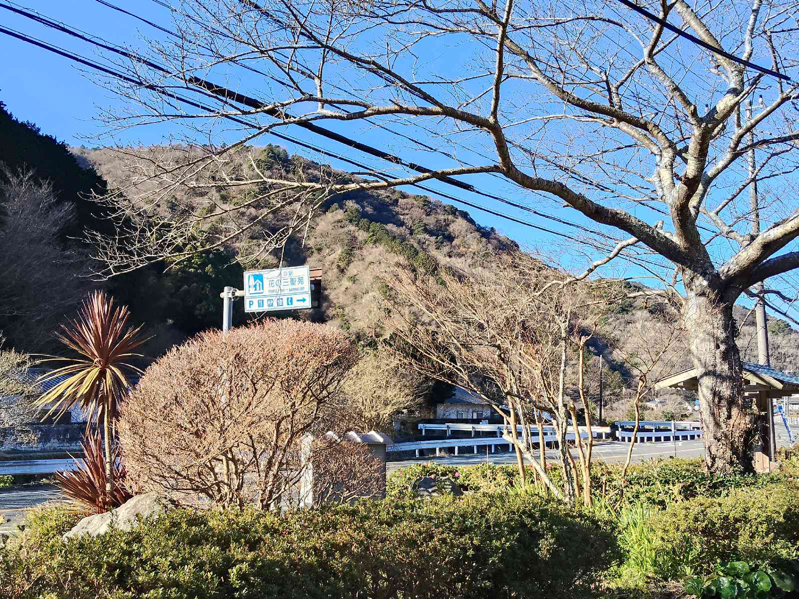 道の駅 花の三聖苑伊豆松崎の写真