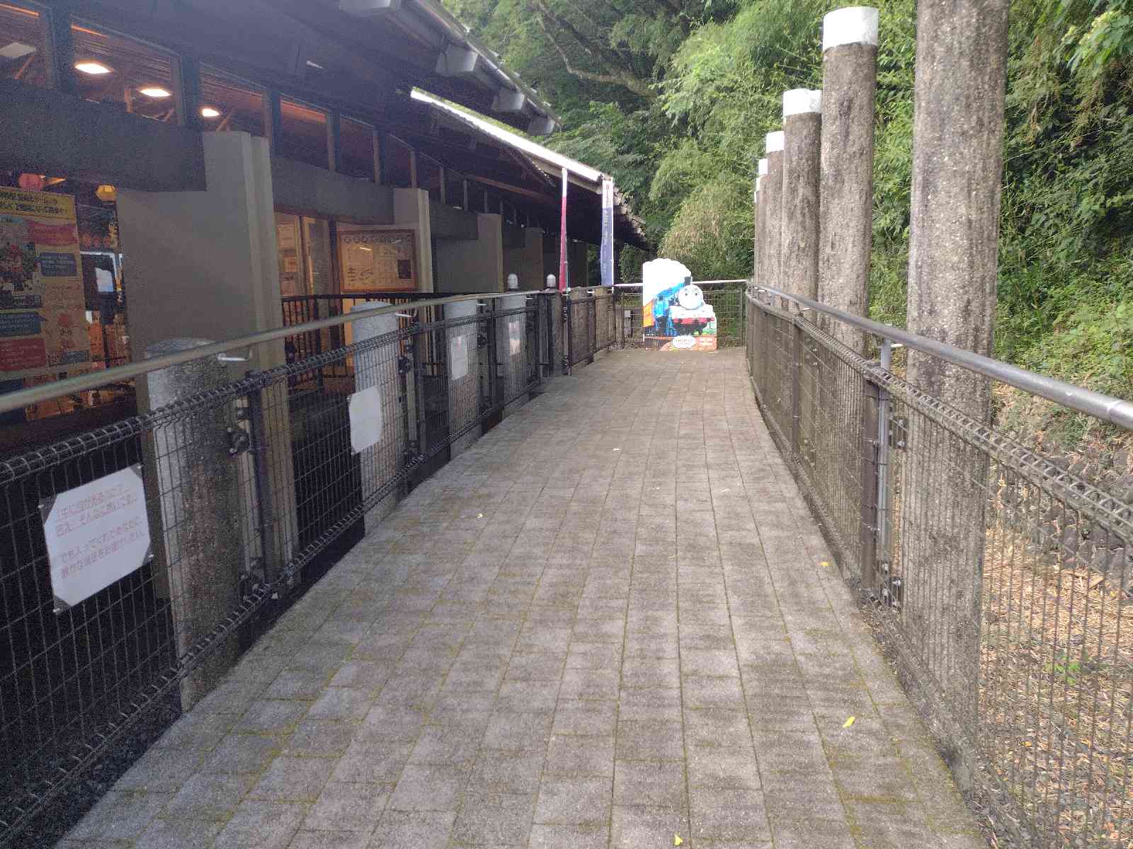 道の駅 奥大井音戯の郷の写真