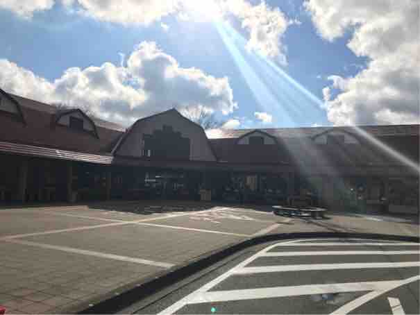 投稿された画像