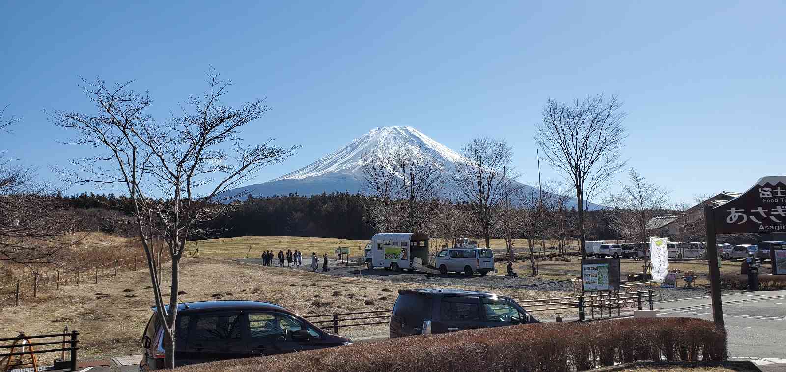 投稿された画像