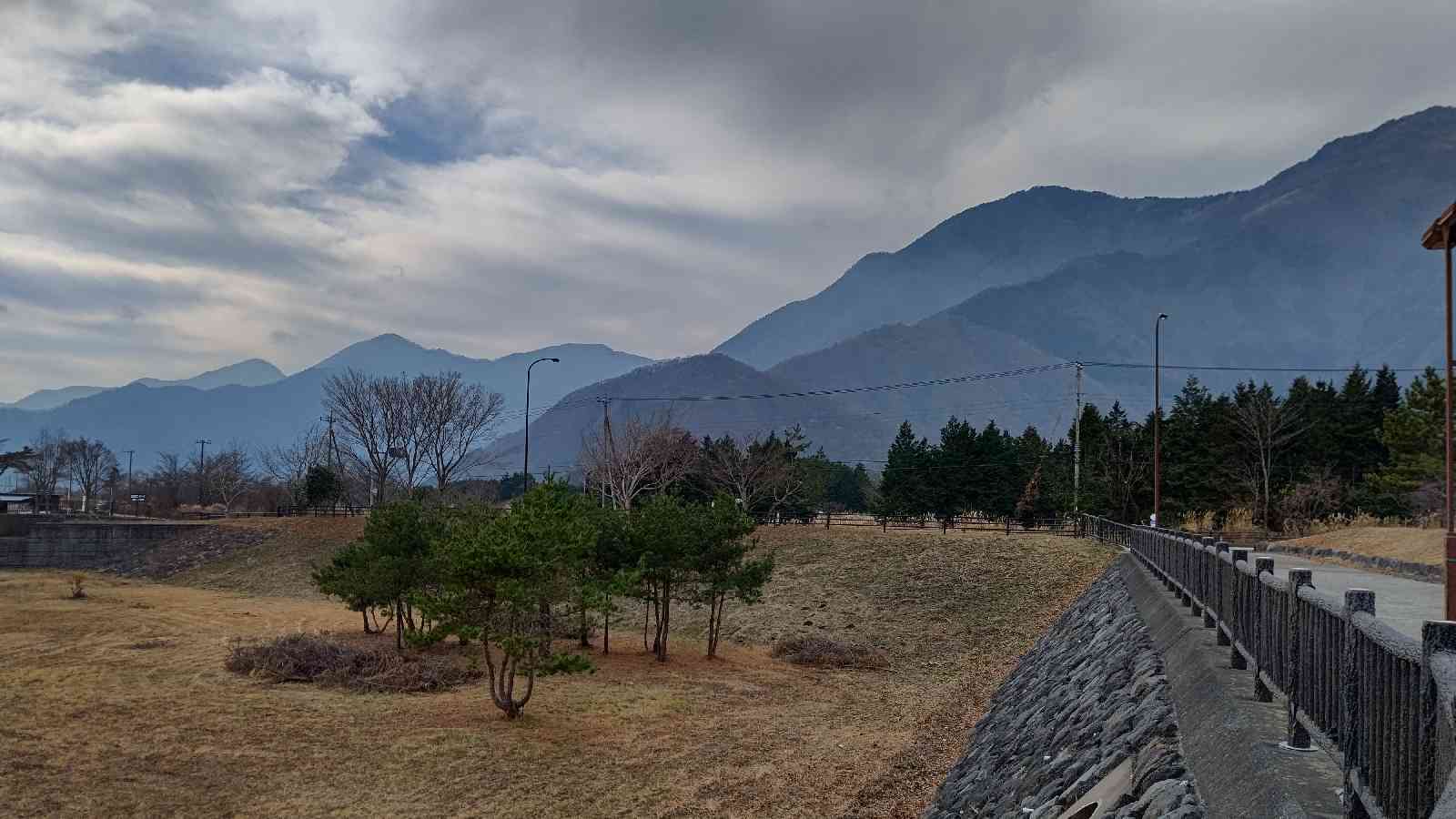 投稿された画像