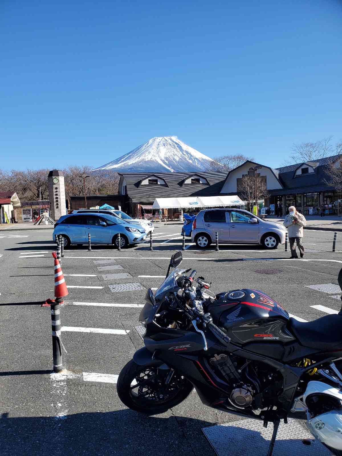 投稿された画像