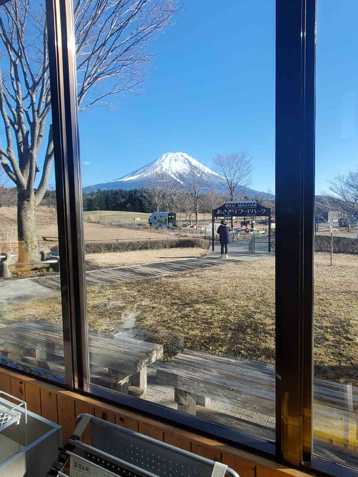 投稿された画像