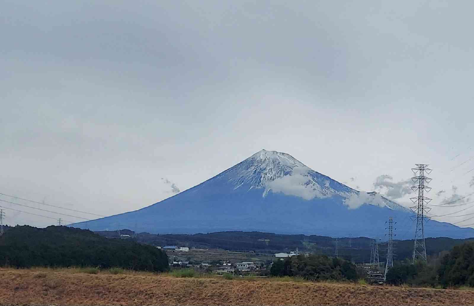 道の駅 朝霧高原の写真