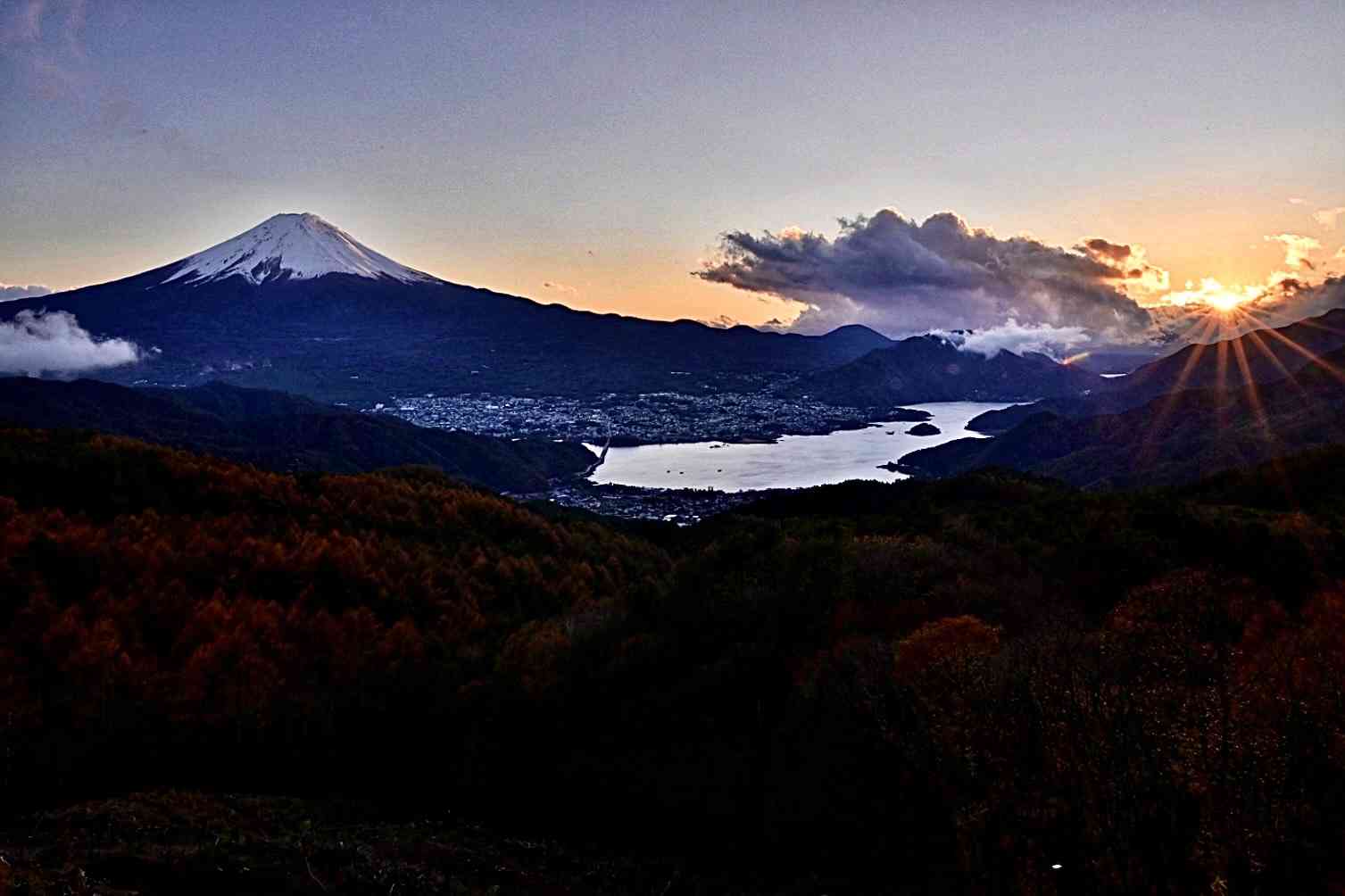 道の駅 朝霧高原の写真