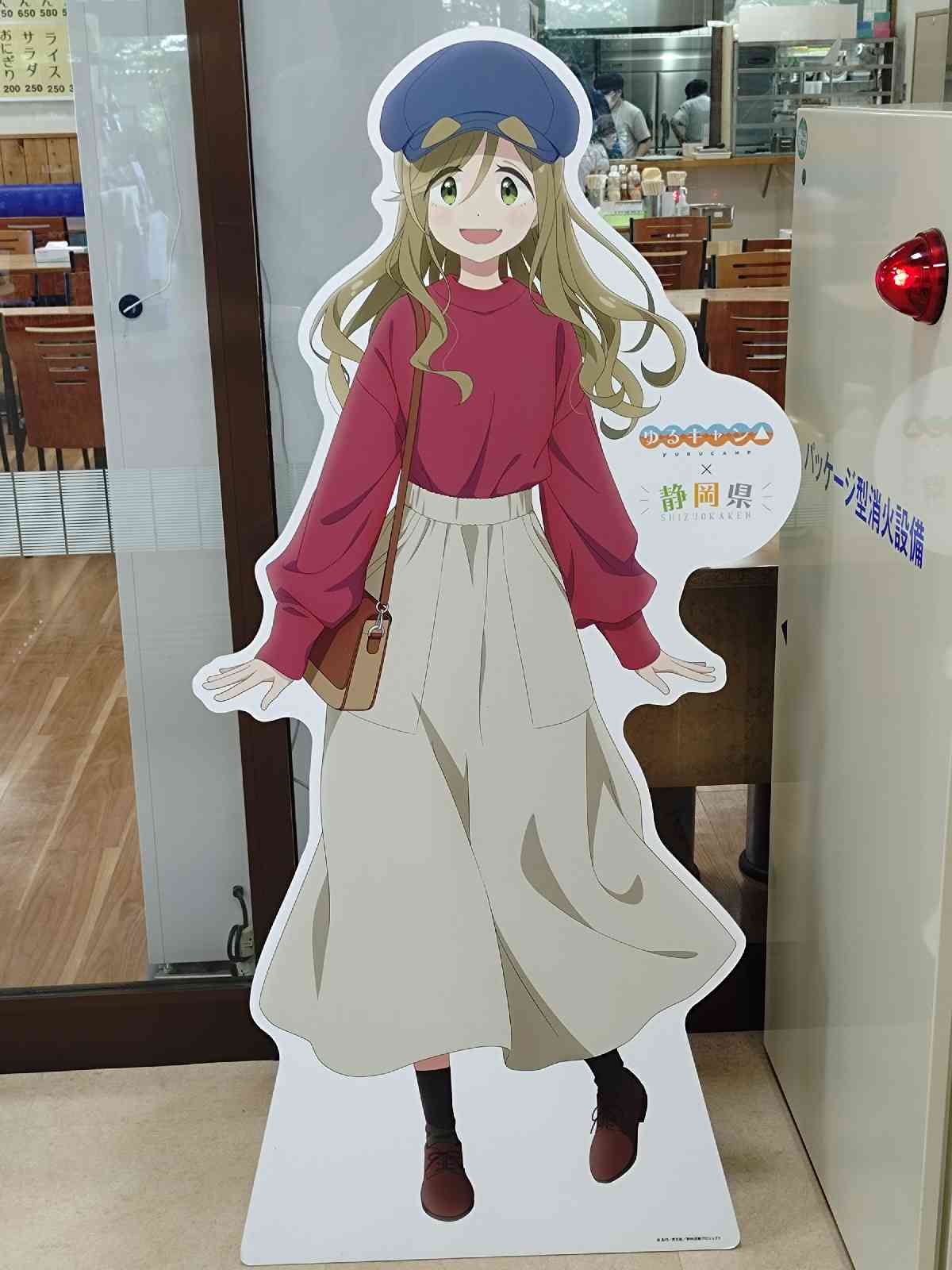 道の駅 朝霧高原の写真