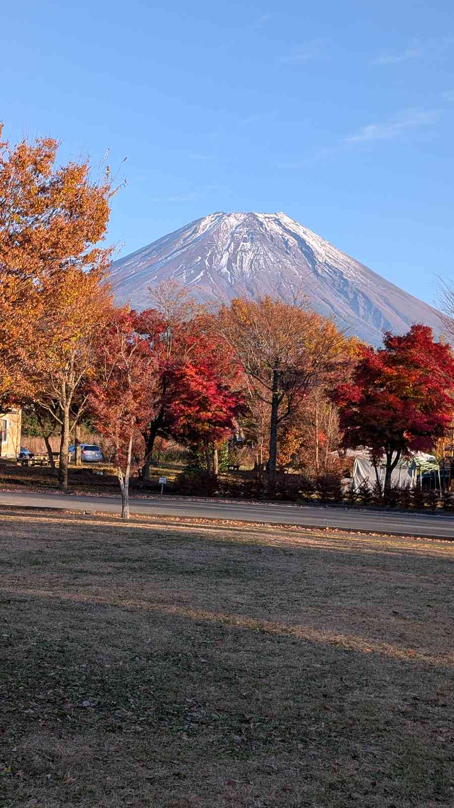道の駅 朝霧高原の写真