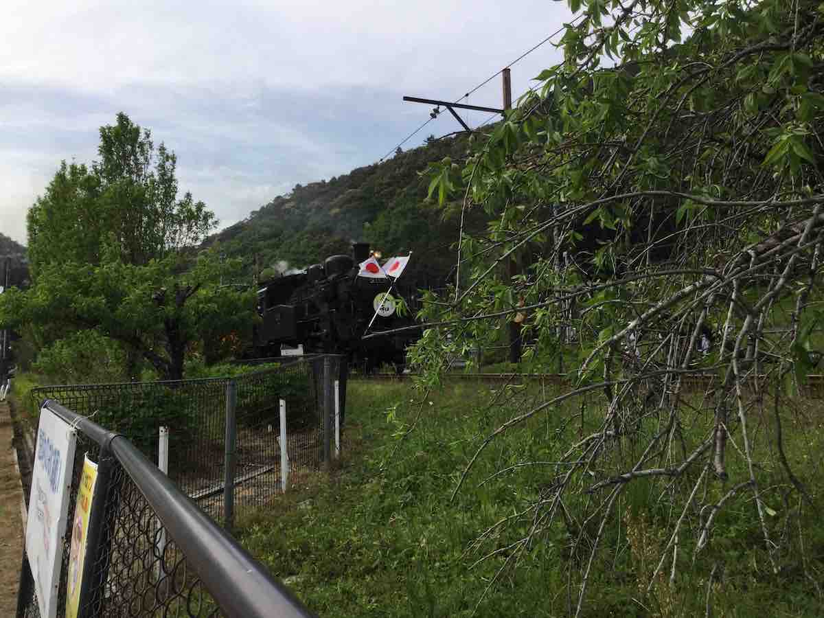 投稿された画像