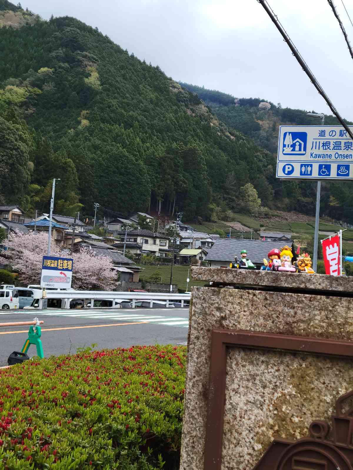 道の駅 川根温泉の写真