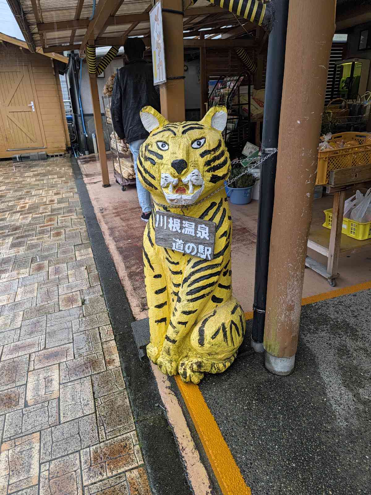 道の駅 川根温泉の写真