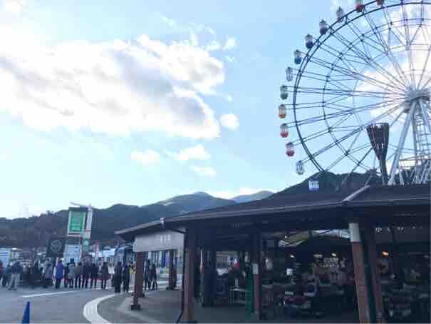 投稿された画像