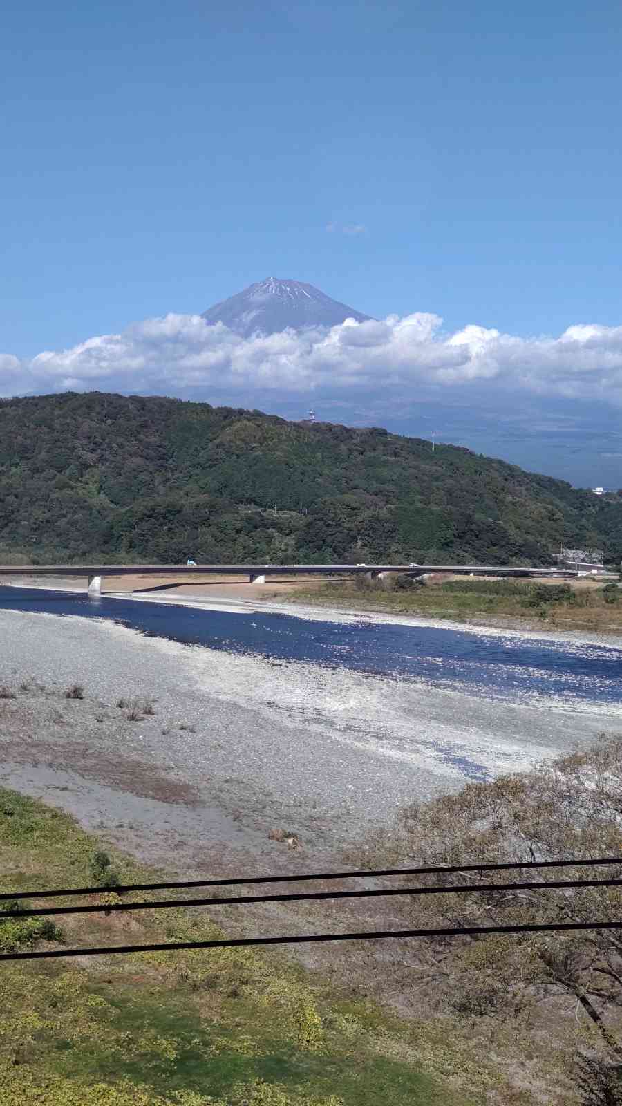 投稿された画像