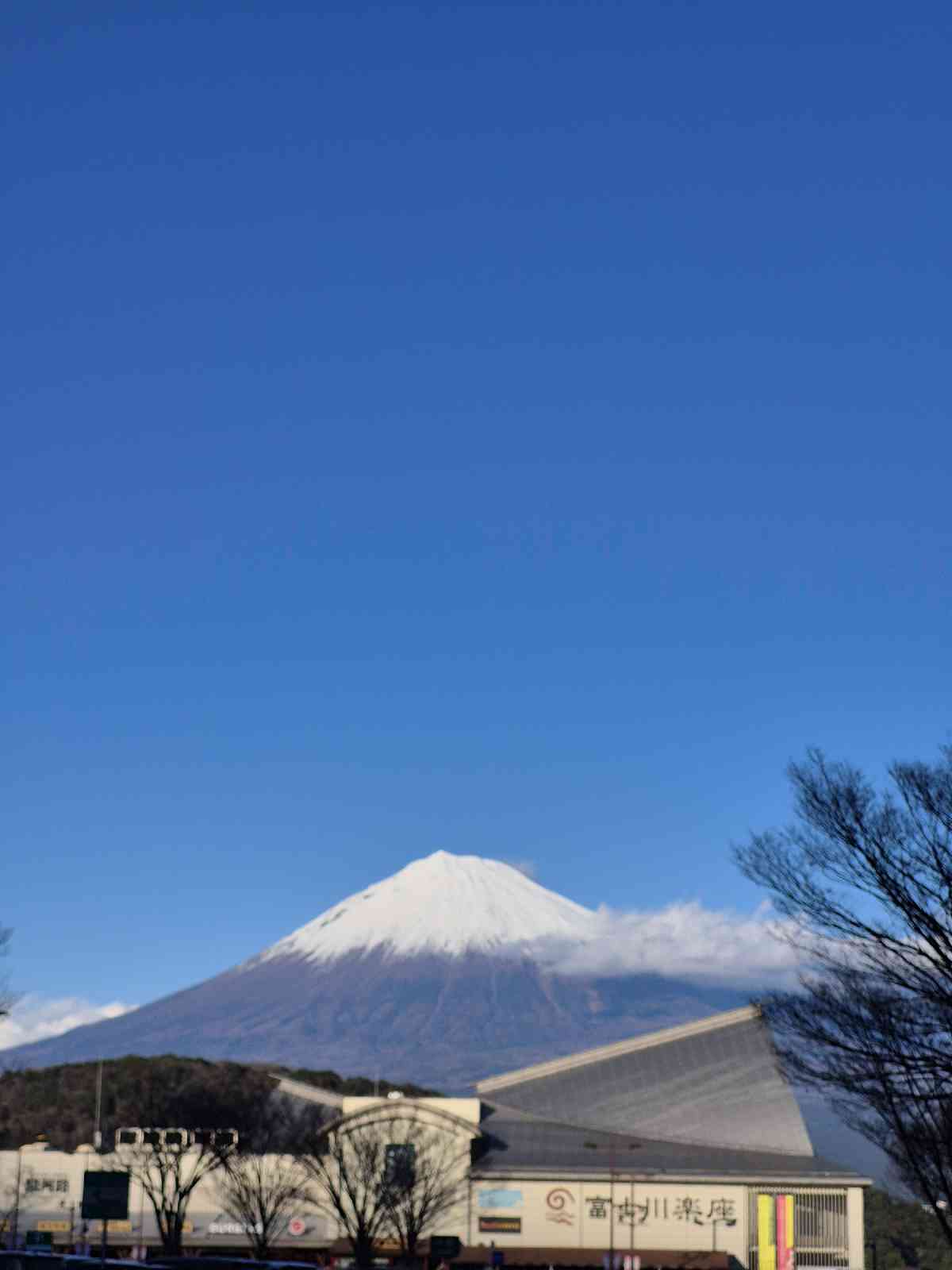 道の駅 富士川楽座の写真
