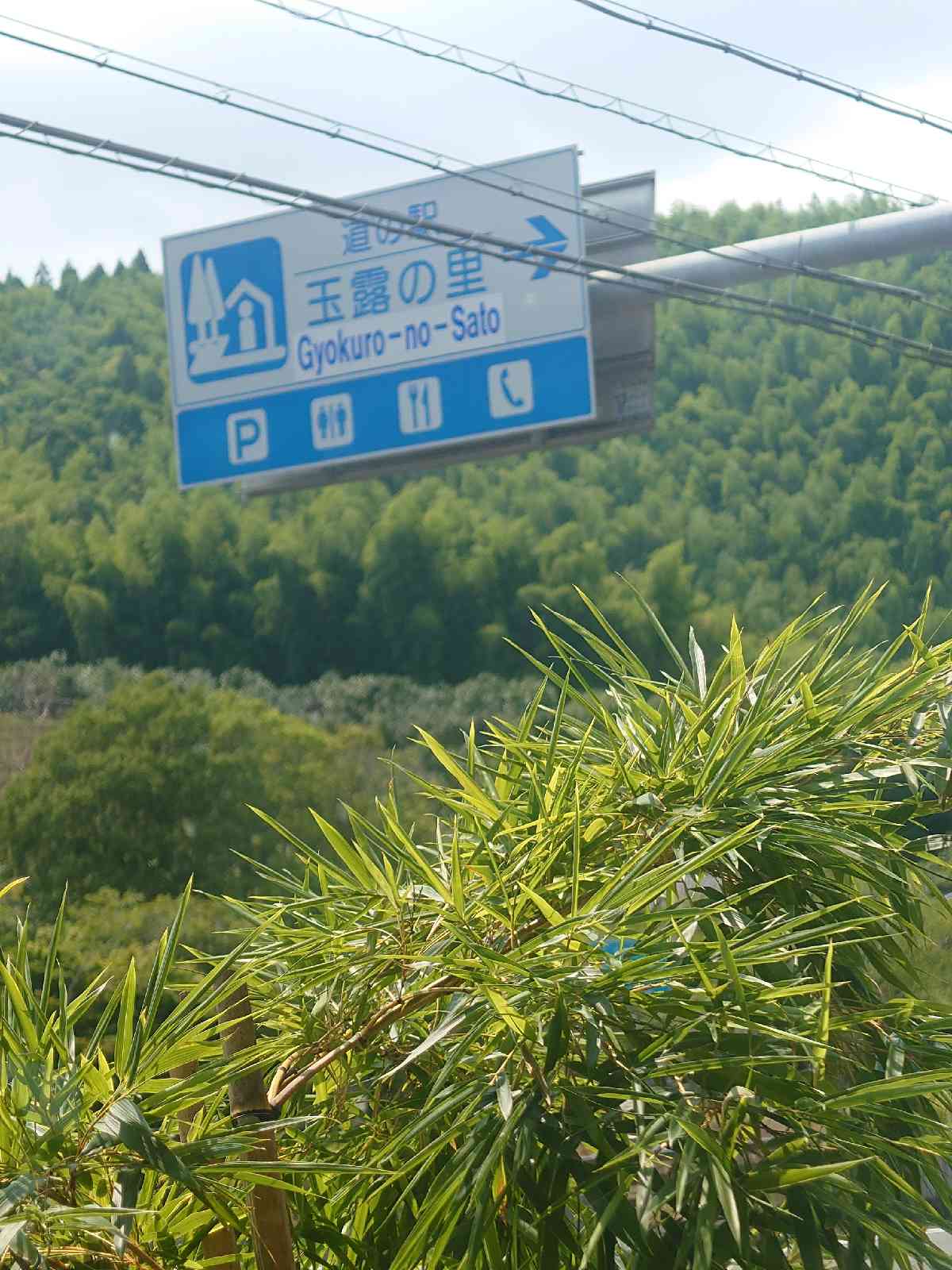 道の駅 玉露の里の写真