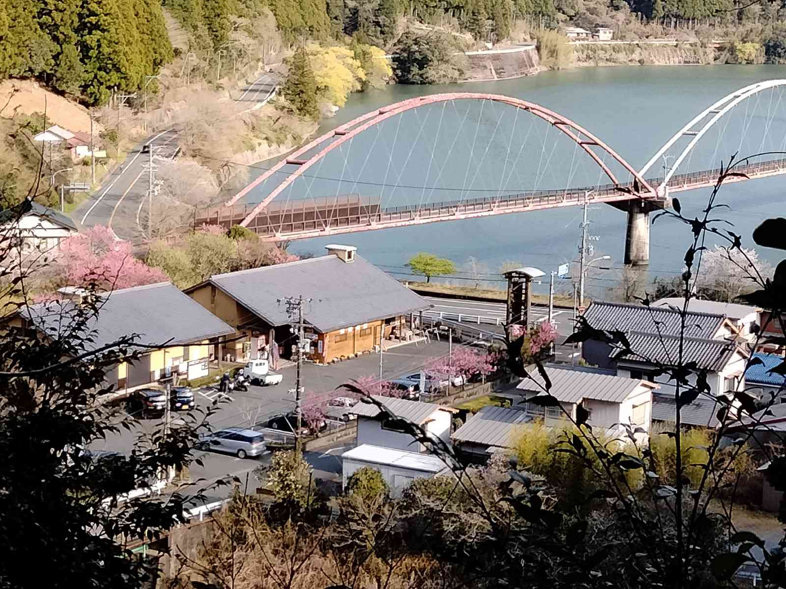 投稿された画像