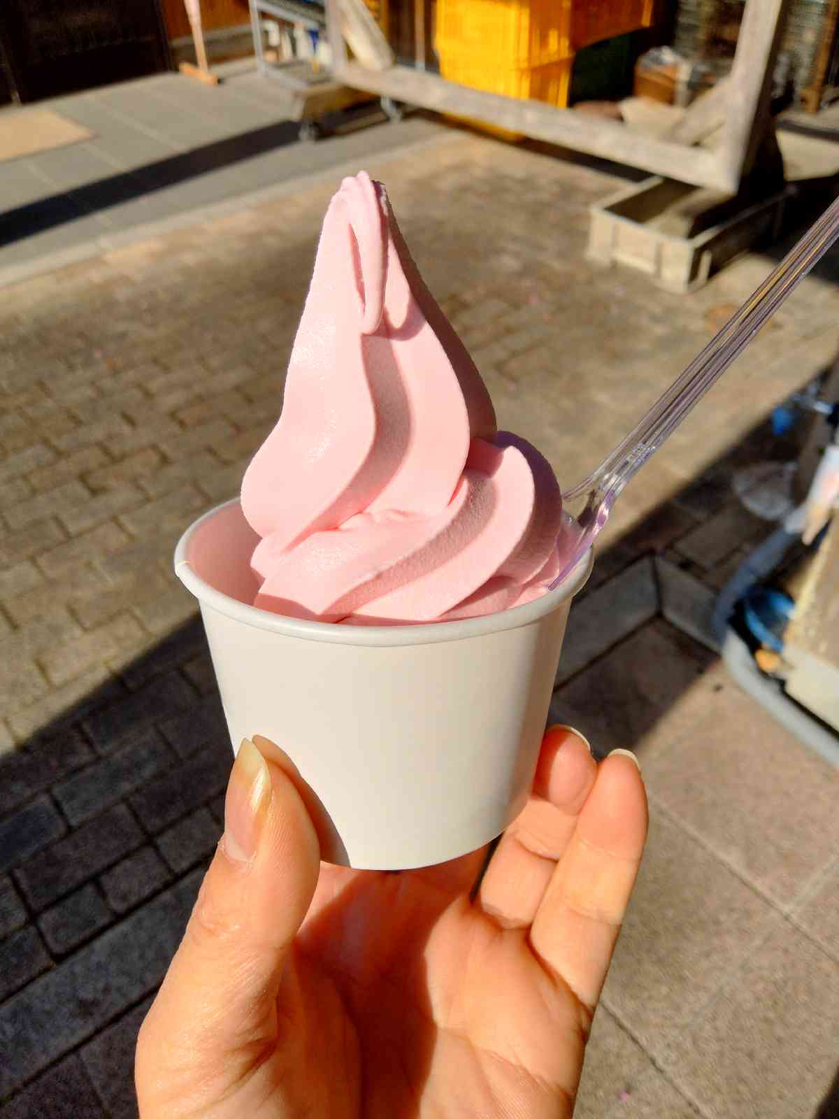 投稿された画像