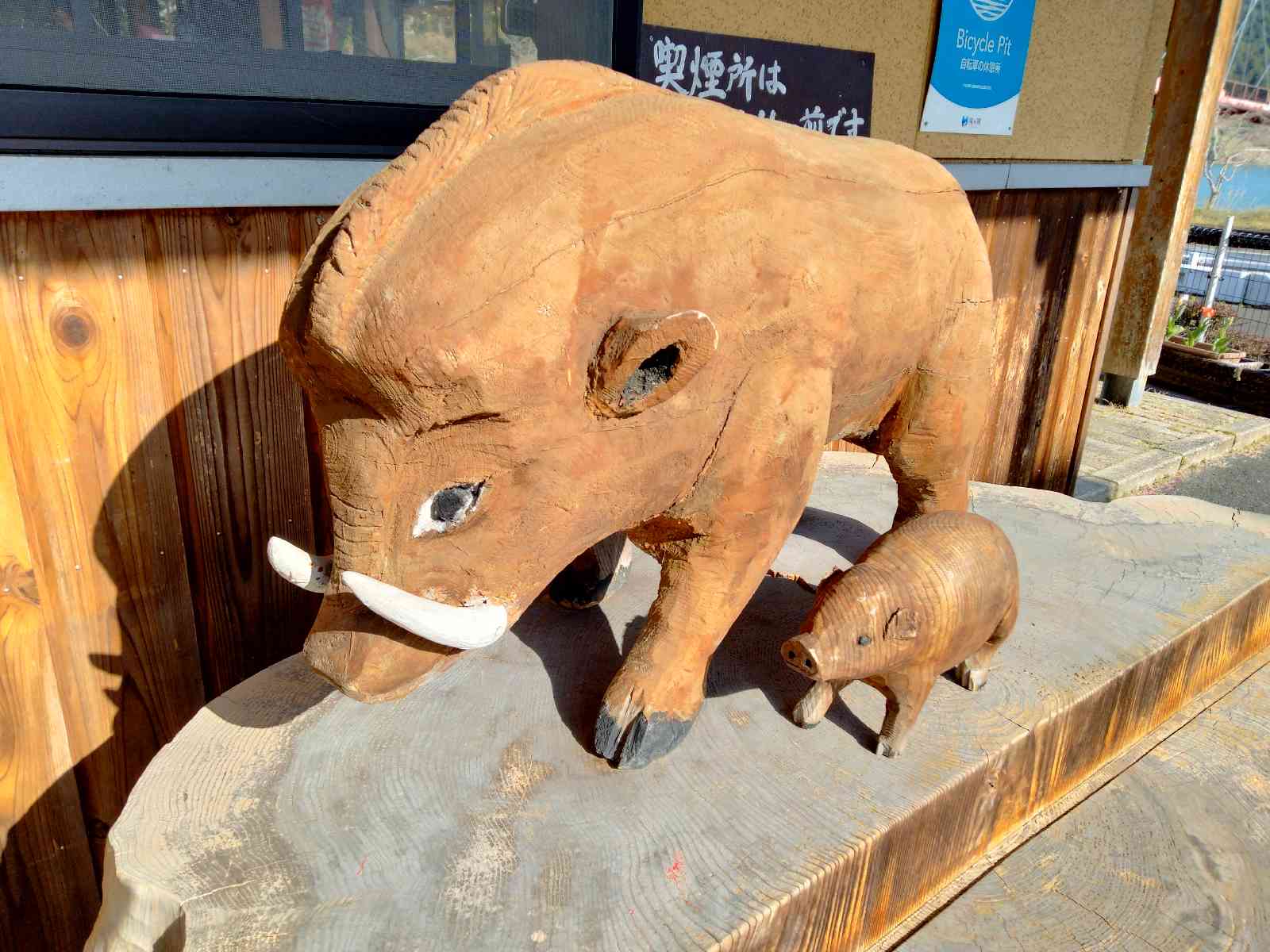 投稿された画像