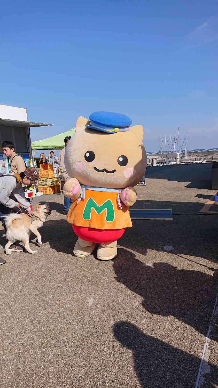 道の駅 伊東マリンタウンの写真