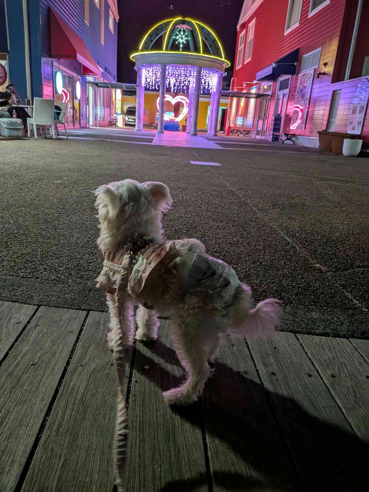 道の駅 伊東マリンタウンの写真