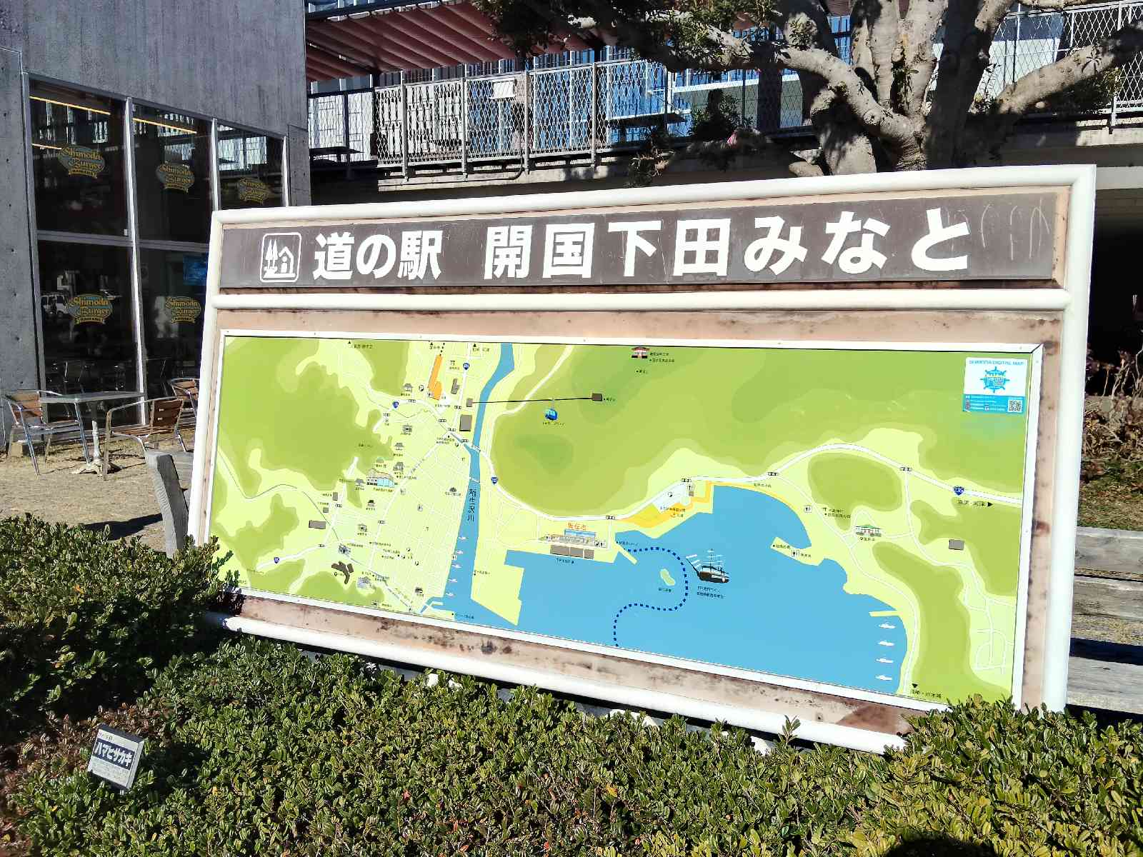 道の駅 開国下田みなとの写真