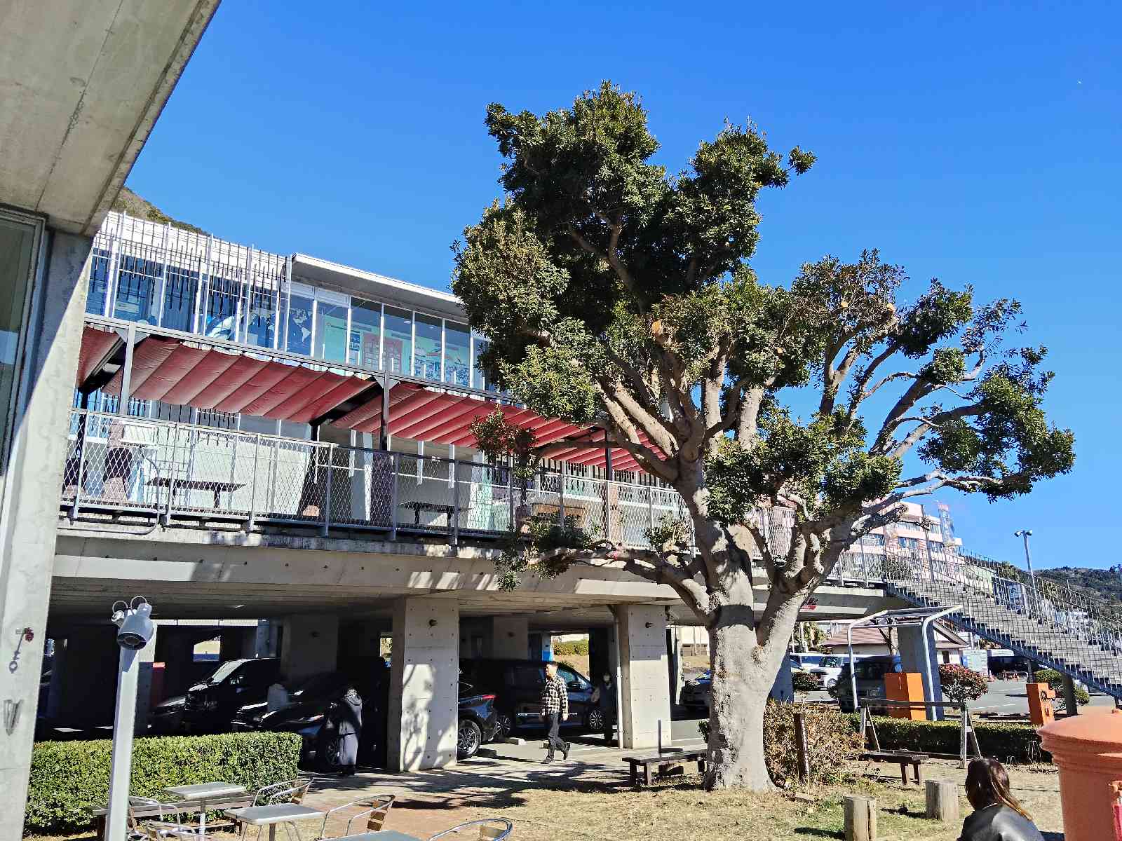 道の駅 開国下田みなとの写真