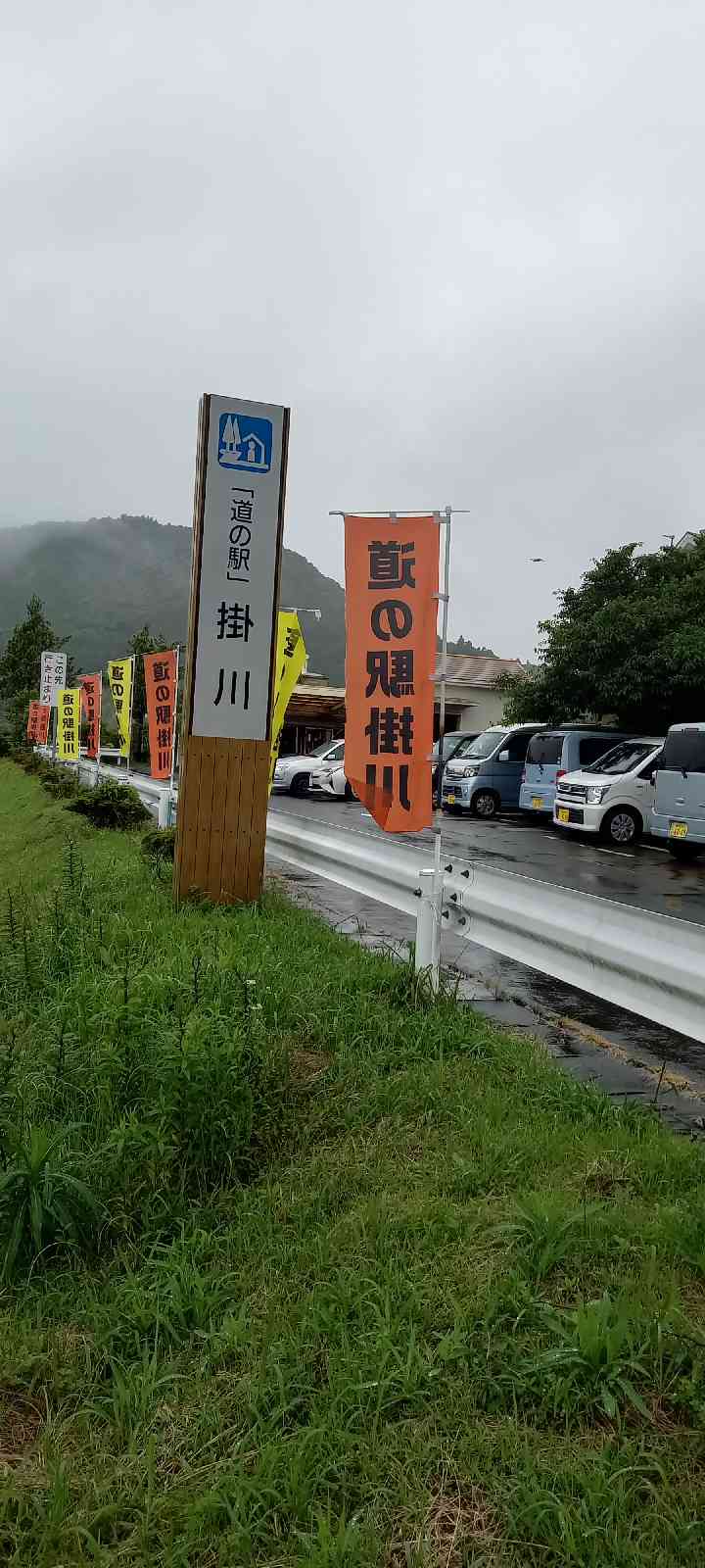 投稿された画像