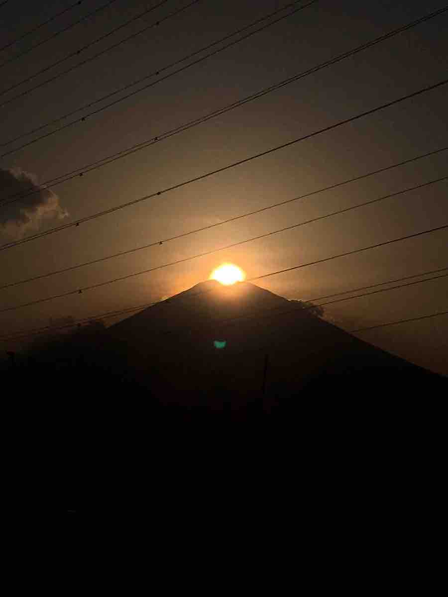 投稿された画像