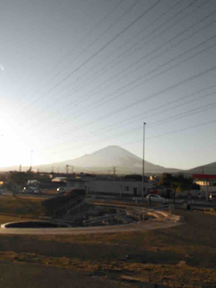 投稿された画像