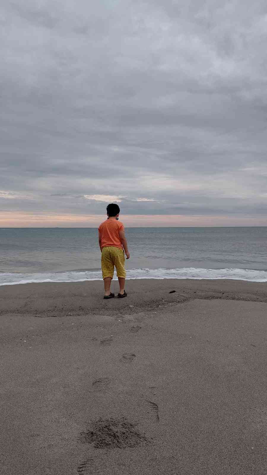 投稿された画像