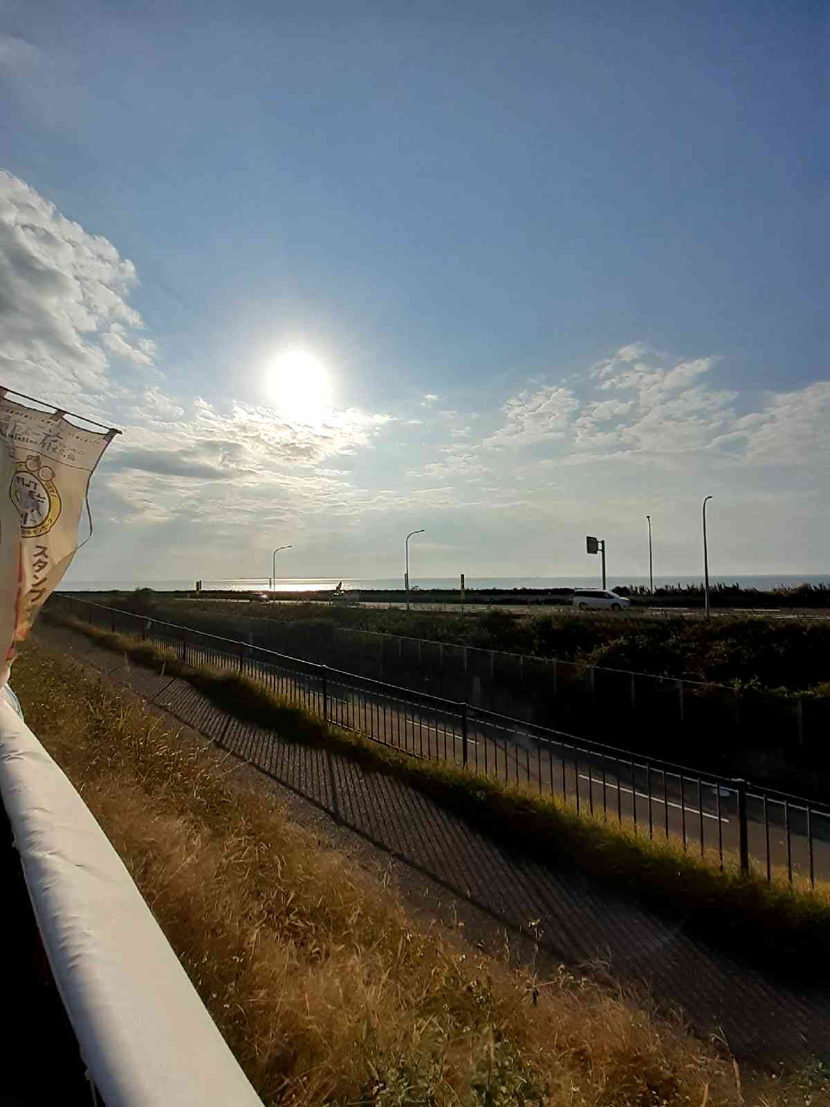 投稿された画像