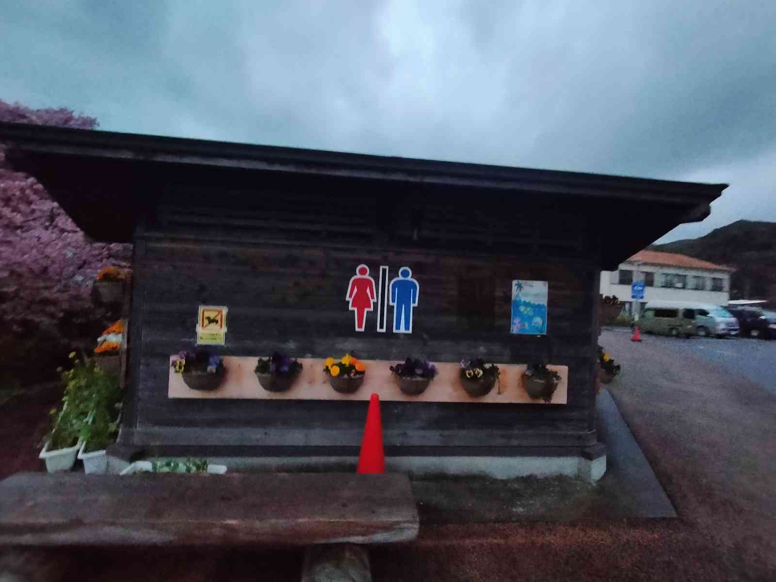 投稿された画像