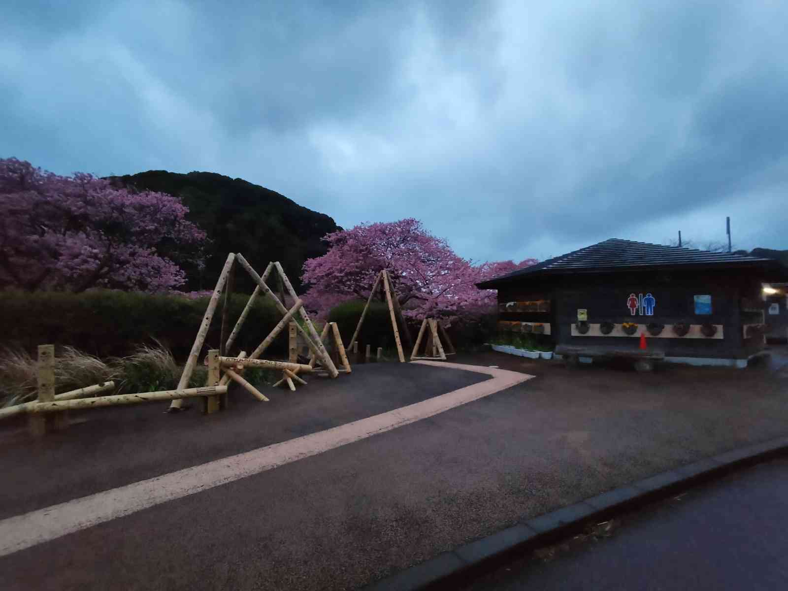 投稿された画像