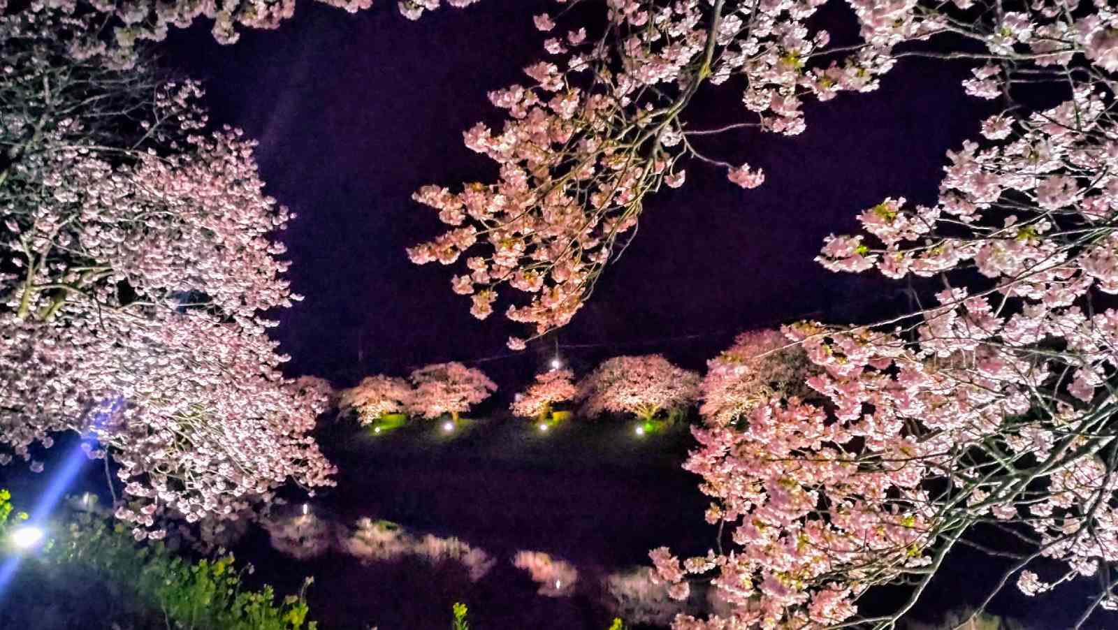 道の駅 下賀茂温泉　湯の花の写真
