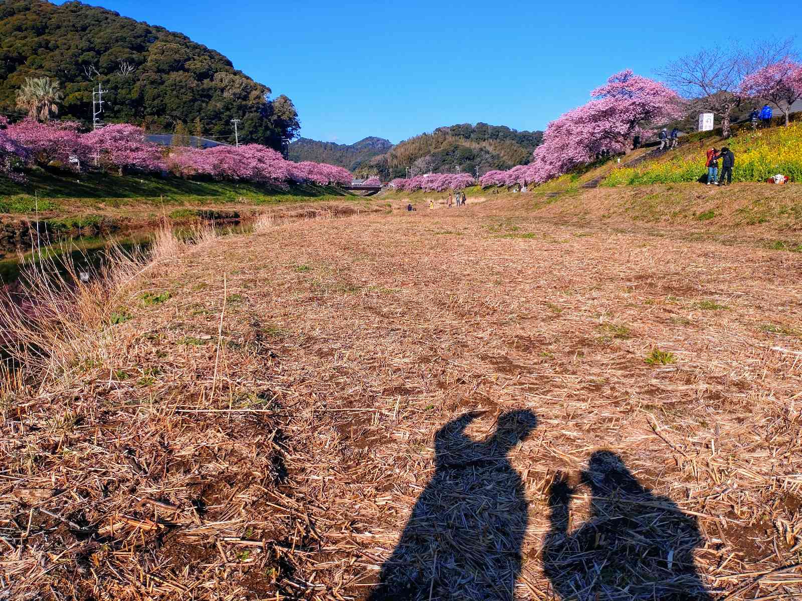 道の駅 下賀茂温泉　湯の花の写真