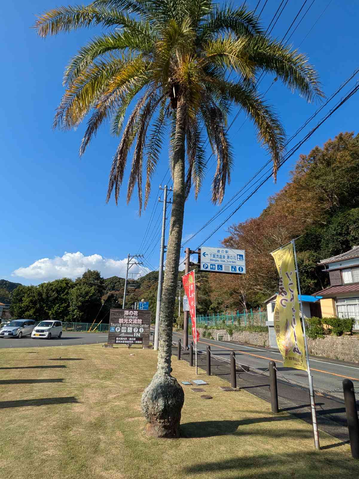 道の駅 下賀茂温泉　湯の花の写真